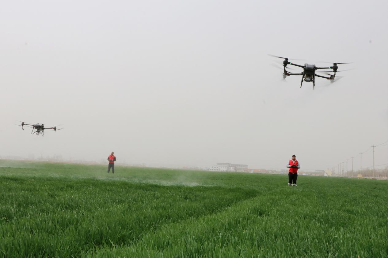 长三角一体化对农业高质量发展,长三角一体化农业