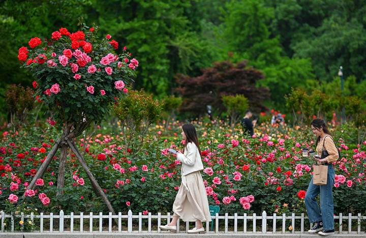 五一杭州车辆限行规定,杭州五一节假日今天限行吗