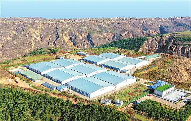 【新时代新征程新伟业】农业现代化建设的庆阳探索从西峰区看庆阳“三元双向”循环农业模式的生动实践