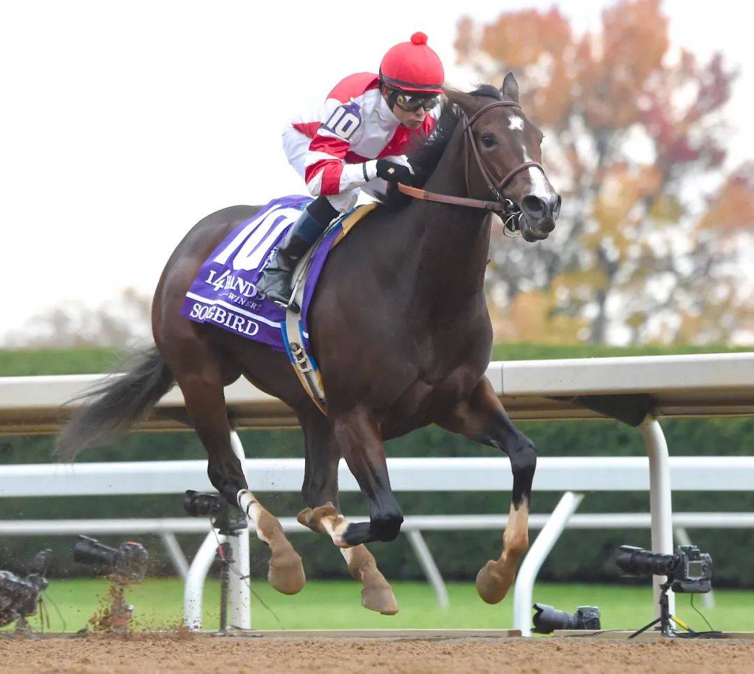 澳大利亚赛马名人堂,美国赛车运动名人堂