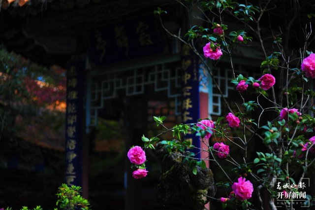 有一种云南的生活叫昆明,云南的昆明就是这么美