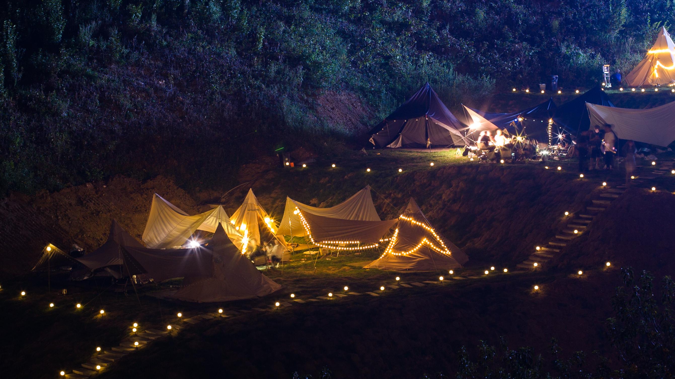 春天花正开沈阳正当时,春天花正开沈阳