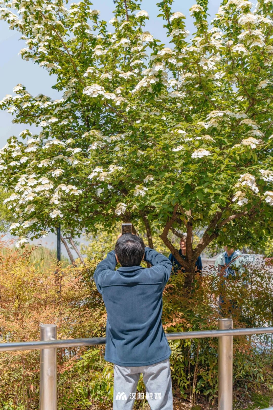 武汉旅游值得带的东西,武汉汉阳两日游最佳攻略