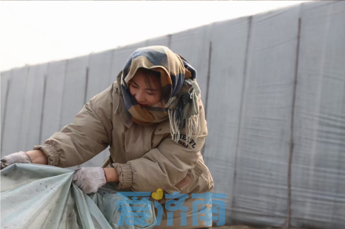 把路边草变成财富链，章丘这位新农人年入800万