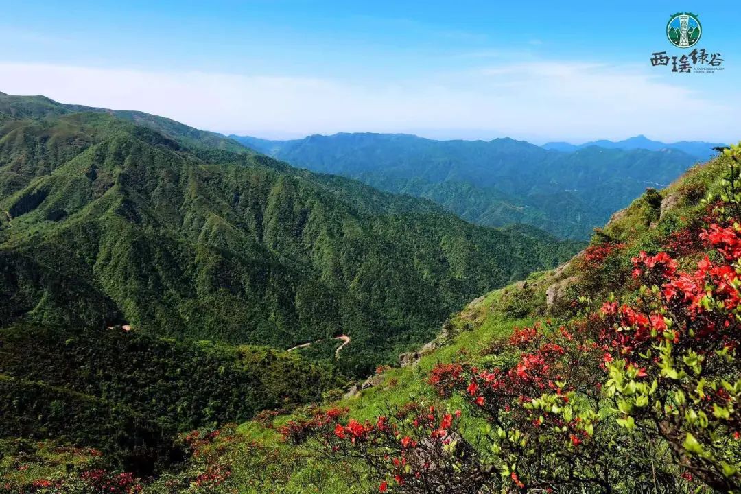 郴州去景点用什么交通,郴州的哪些景点交通方便