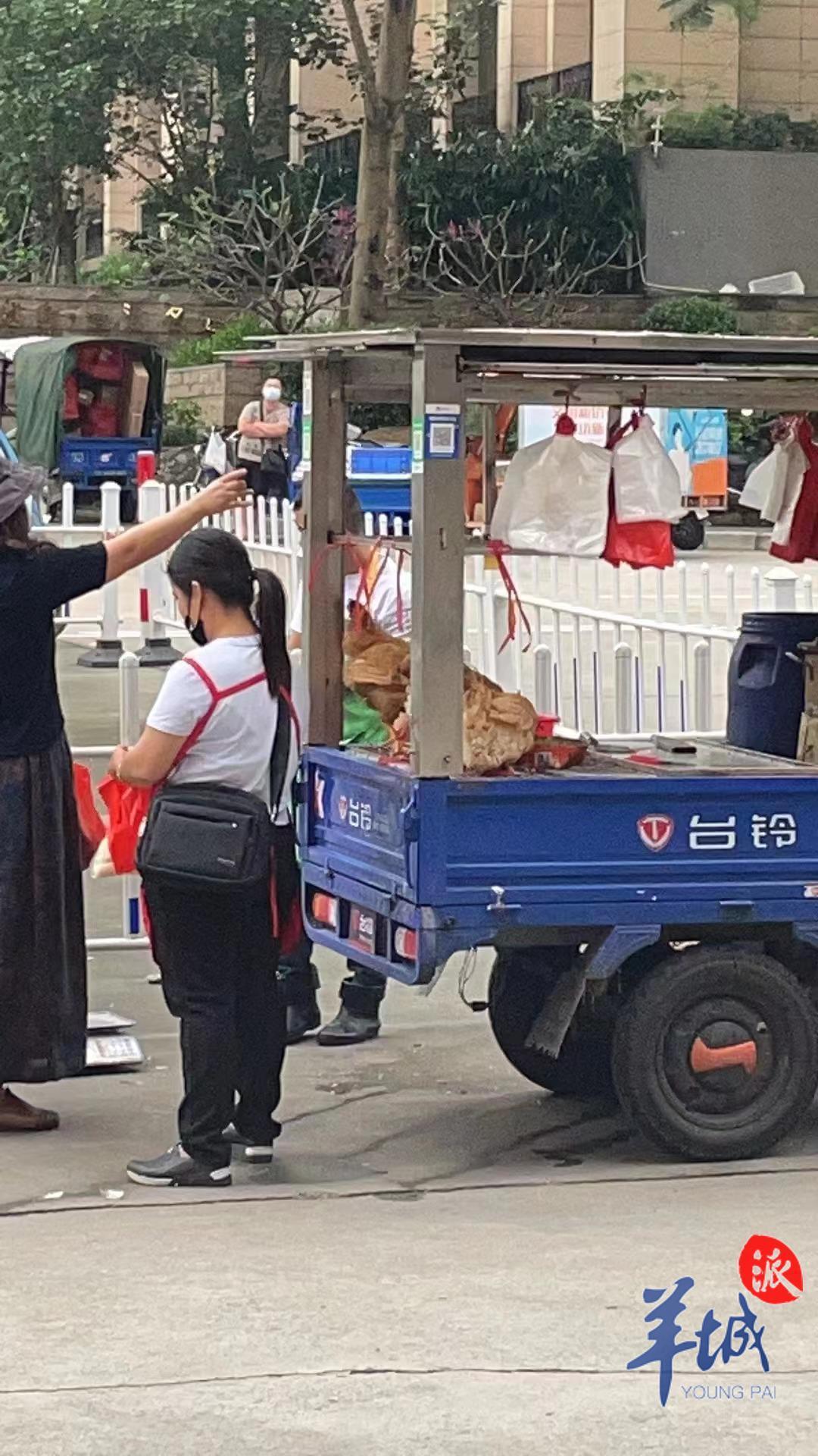 毛鸡最近消息,肉鸡毛鸡市场最新信息