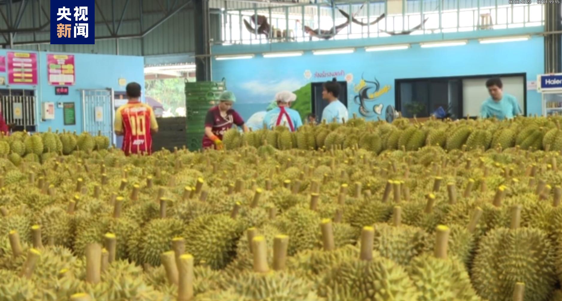 “水果”班列接连入境！你要的“榴莲自由”快来啦！