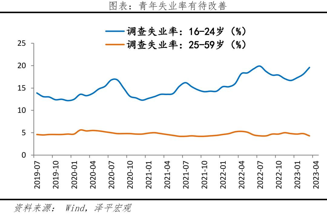 钱去哪儿了完整视频,钱去哪儿了贾冰