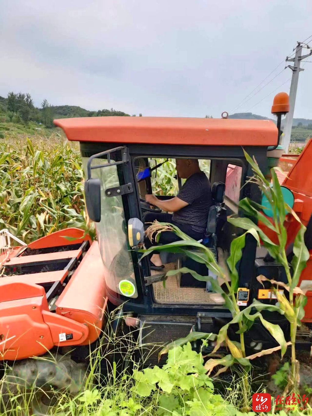 e视野眼镜店,e视野