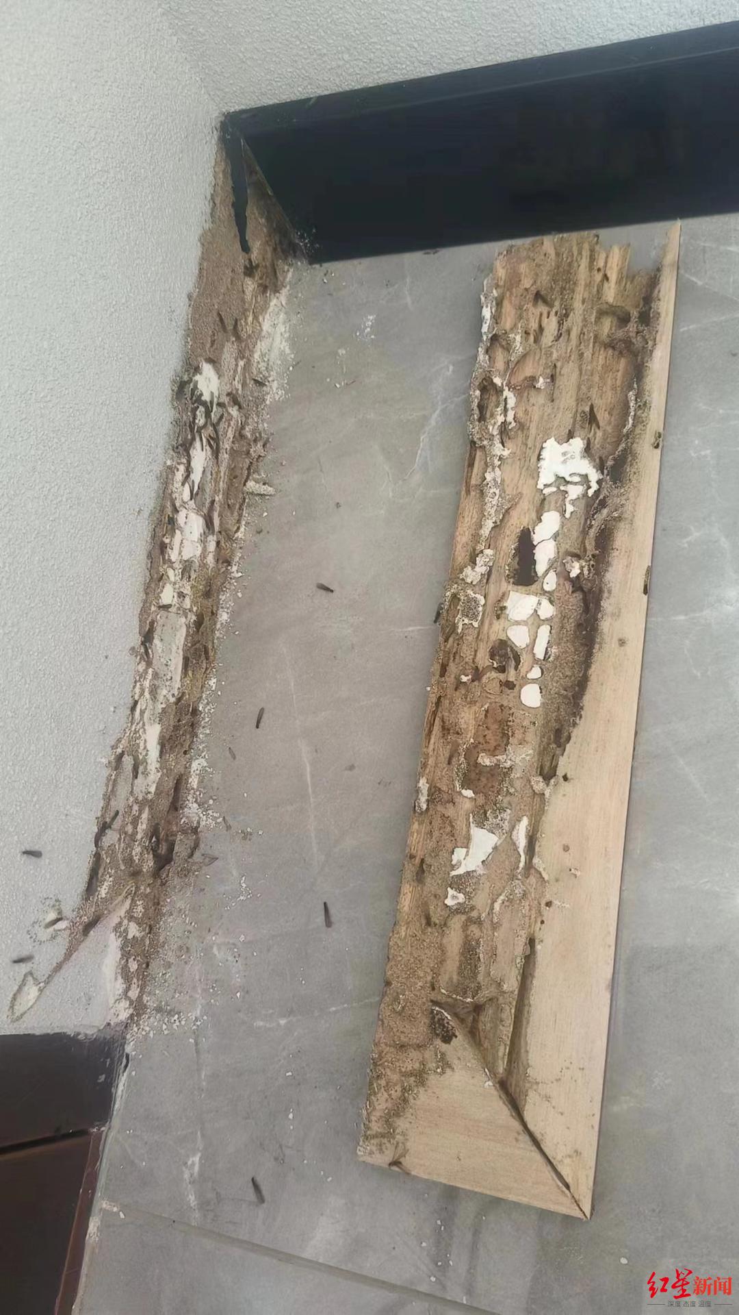 农村家里满屋飞虫,房间里有黑色小飞虫硬壳怎么办