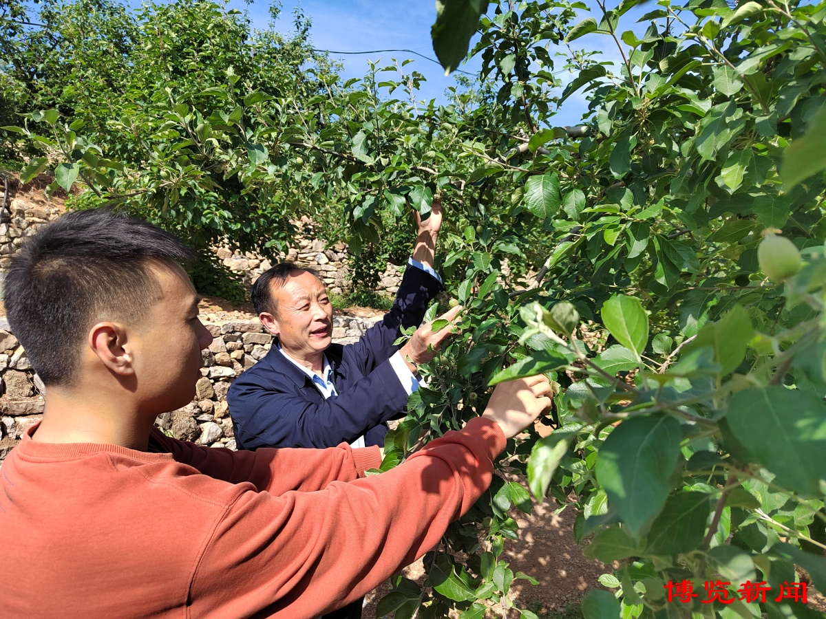 村镇银行扶持地方经济发展,村镇银行支持地方经济发展