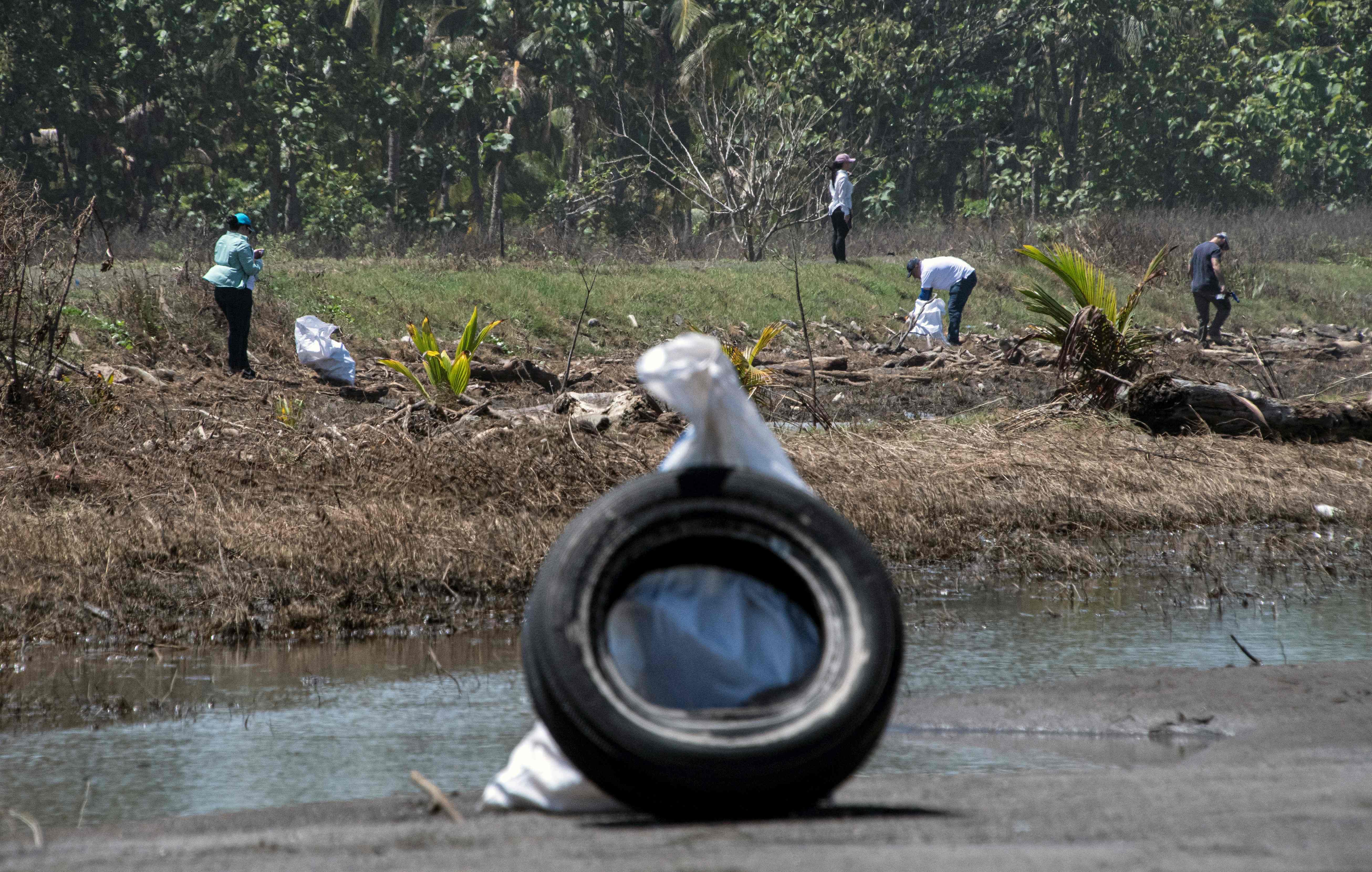 英国海滩垃圾清理,斯里兰卡海滩垃圾清理