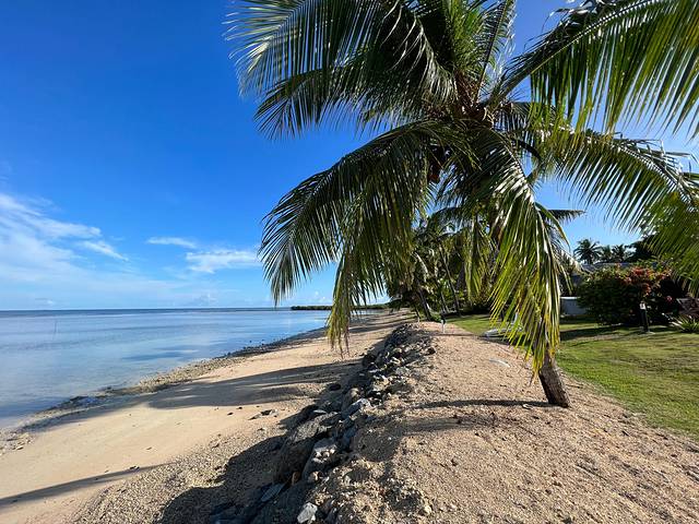 斐济南太平洋之旅,斐济之行游记