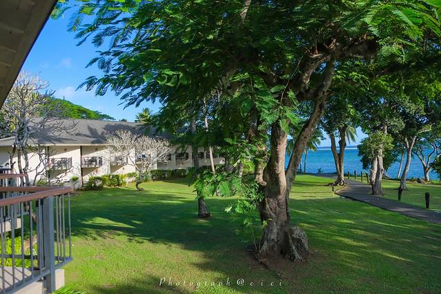 斐济南太平洋之旅,斐济之行游记