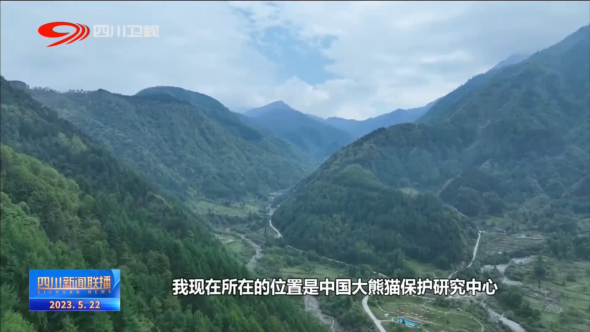 大熊猫国家公园纪录片,四川观察大熊猫直播