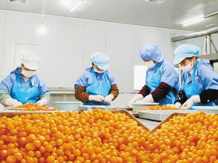 一个监利乡村企业家的振兴梦——最好的工厂在家乡最好的日子在家里