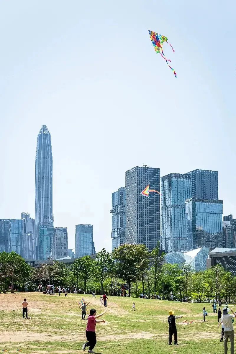 青春之城合集,青春之城后续