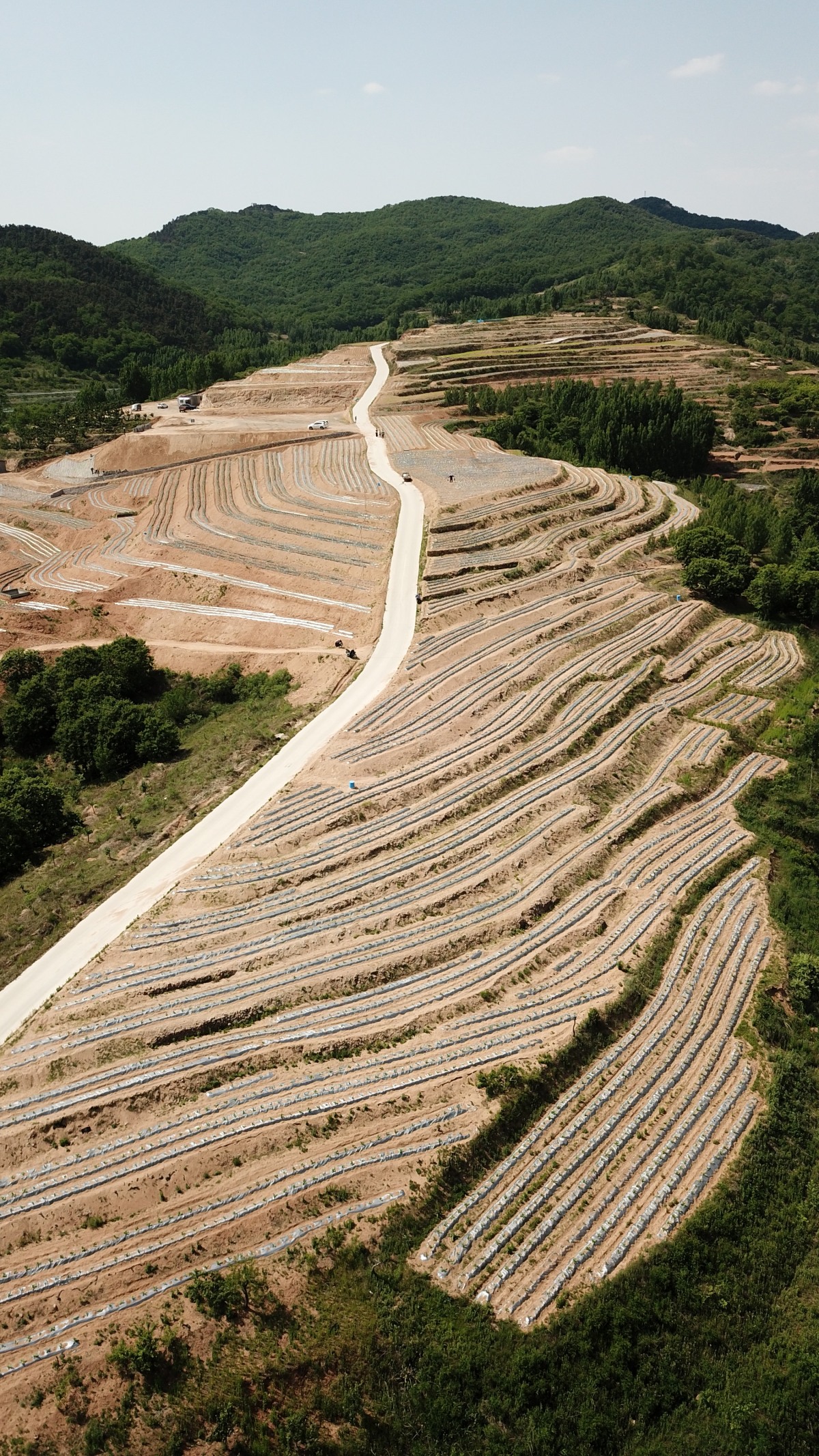 合伙人思维,合伙人创新思维