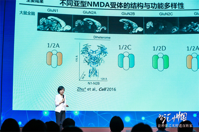 抗抑郁药最新研发,我国科学家突破快速抗抑郁研究