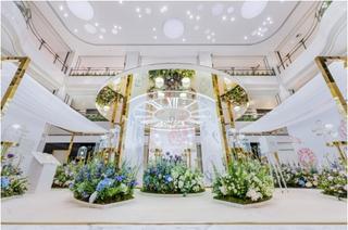 欧米茄女士腕表推荐,欧米茄女表最受欢迎的系列