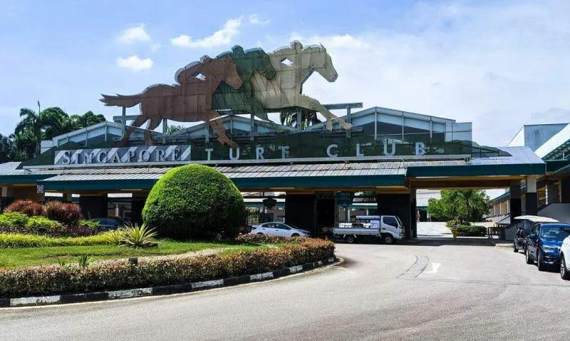 新加坡官宣好消息,近期新加坡官宣