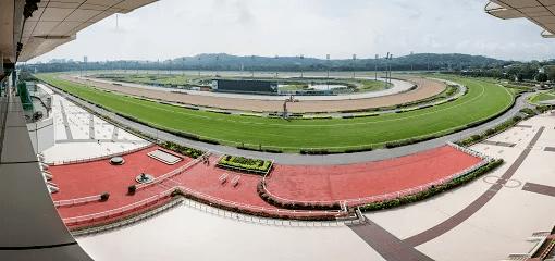 新加坡官宣好消息,近期新加坡官宣