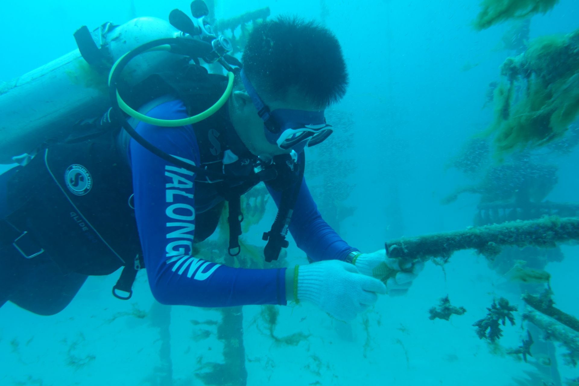 世界海洋日内容图片,世界海洋日海底世界