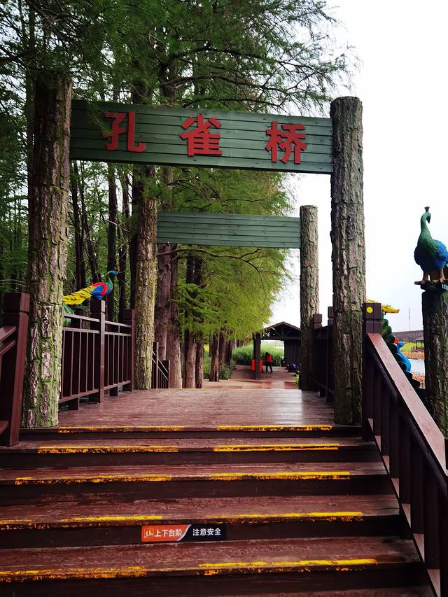 苏中自驾游‖这座城存下了我的一份醉心