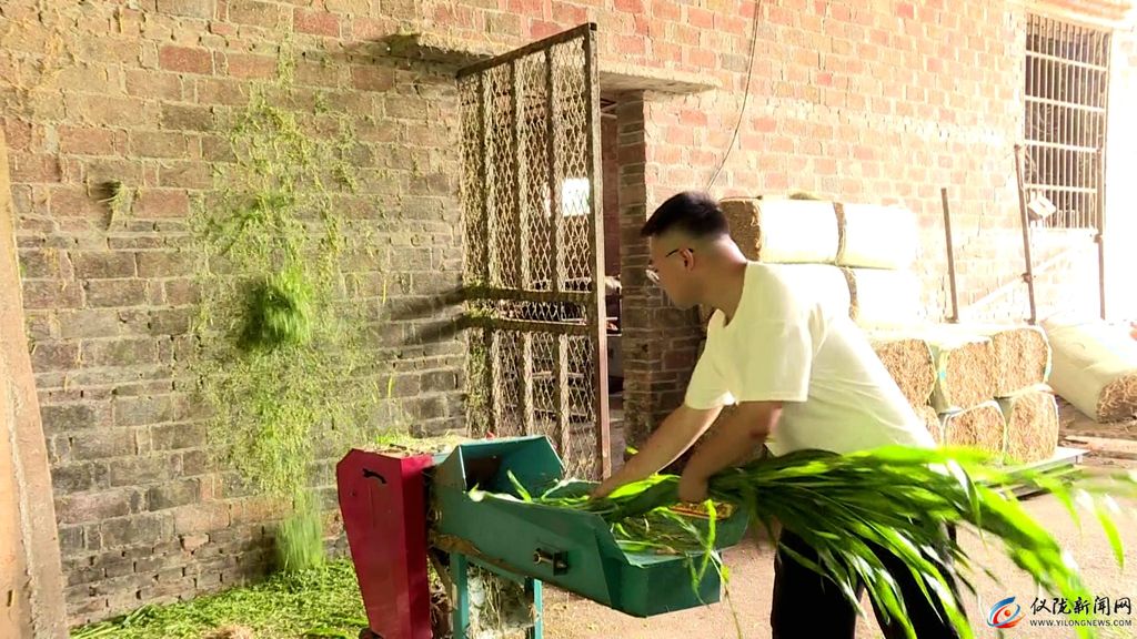 村村有特色产业户户有增收渠道,村有产业户户可增收吗