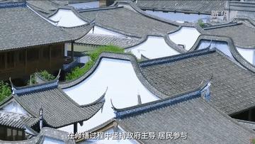 解码首都北京的文化自信样本,解码老家河南的文化自信样本