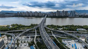 解码首都北京的文化自信样本,解码老家河南的文化自信样本