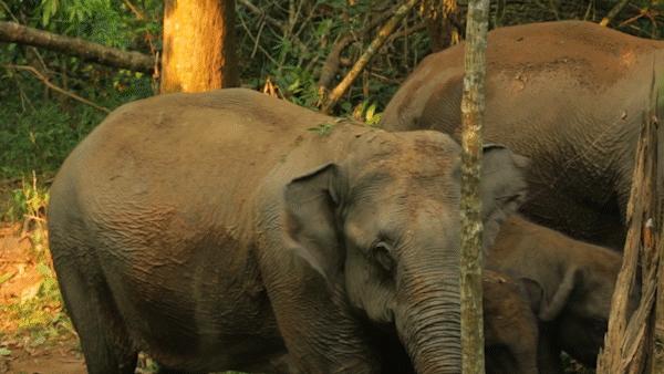 有一种叫云南的旅行,有一种旅行叫云南之旅