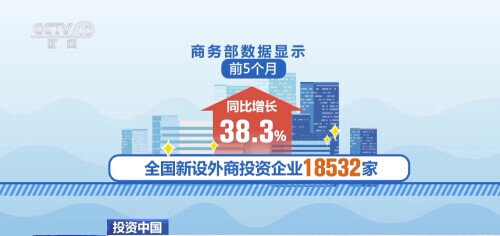 磁吸力、必选项……外企在华投资给出这些关键词