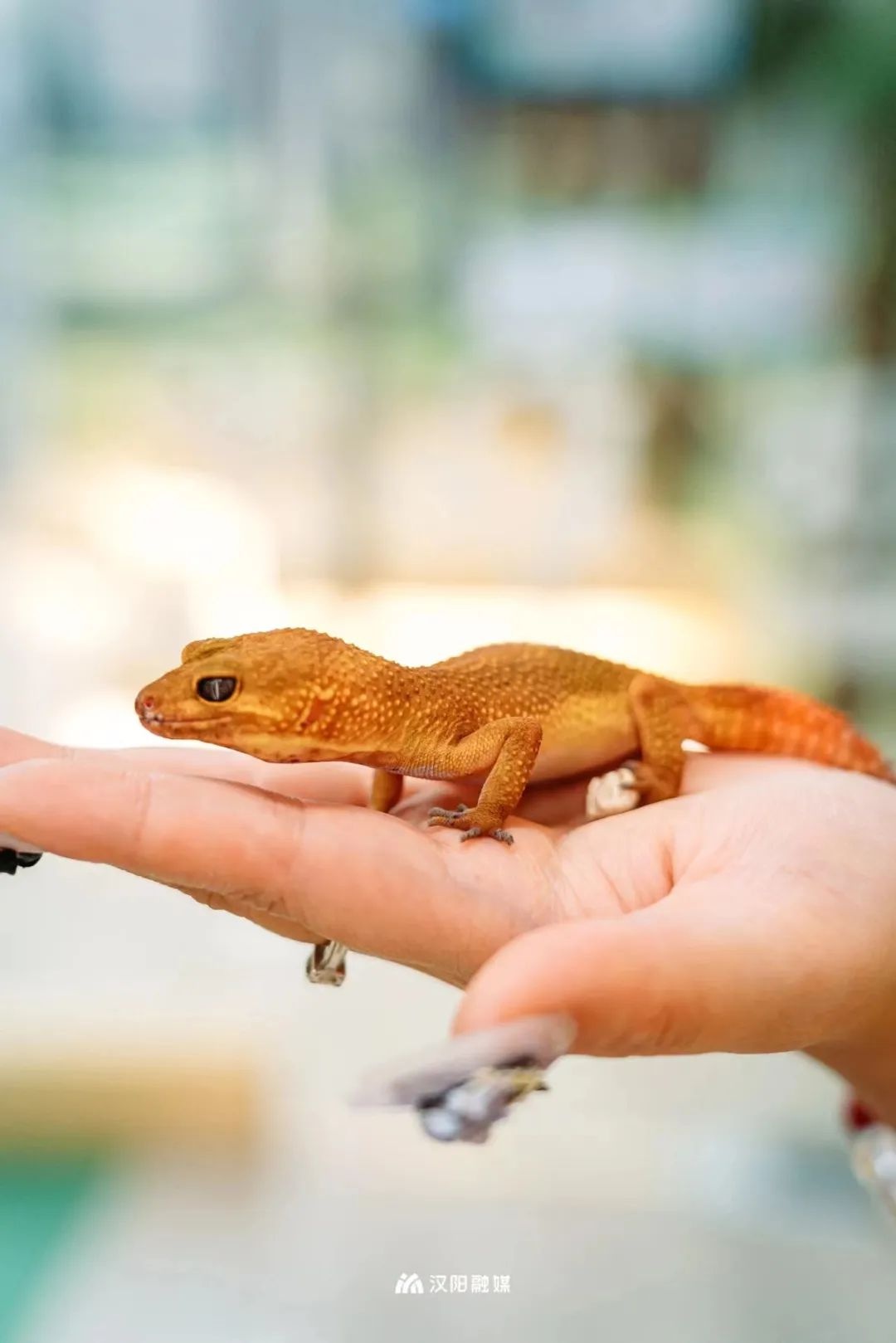 汉阳江滩儿童乐园和亲子乐园,汉阳十大免费儿童游乐园