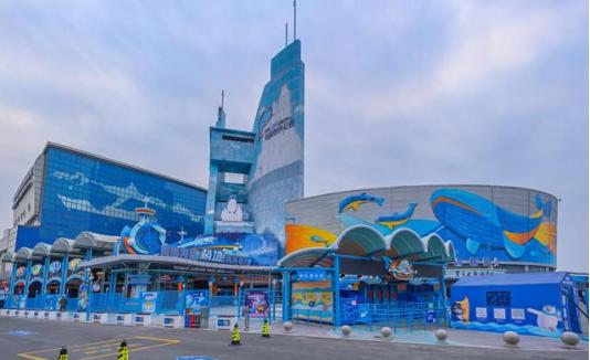 海陆空夏令营,青岛海滨夏令营