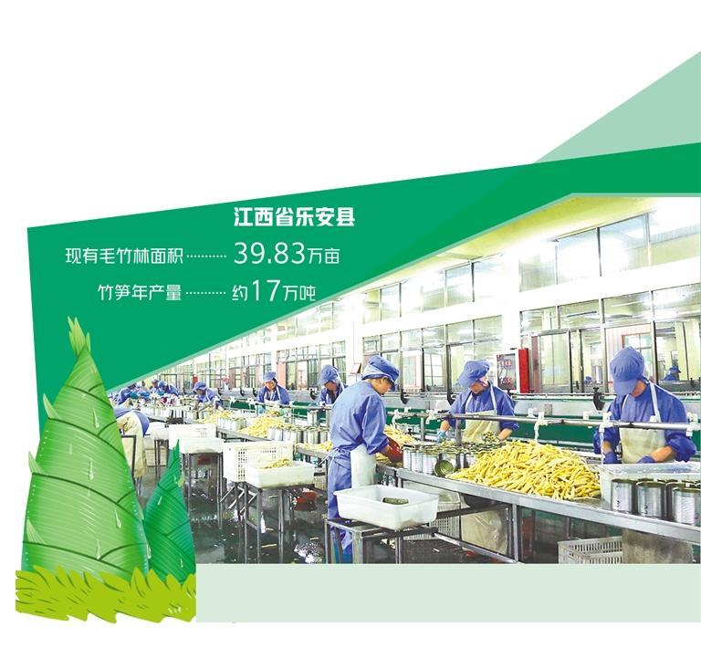 乐安县竹笋之乡,乐安县竹笋加工厂