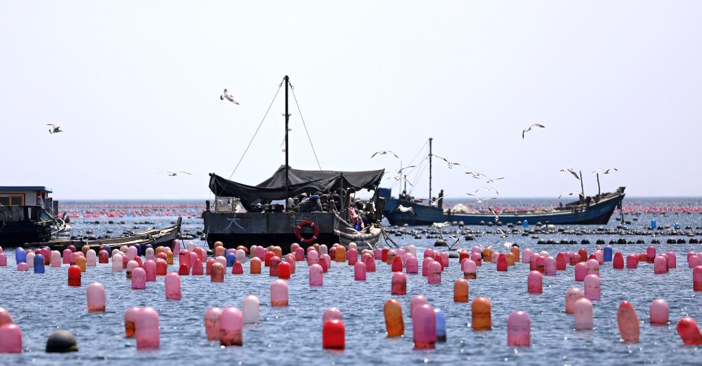 专家谈振兴东北之加强产业转型,东北振兴产业如何破局