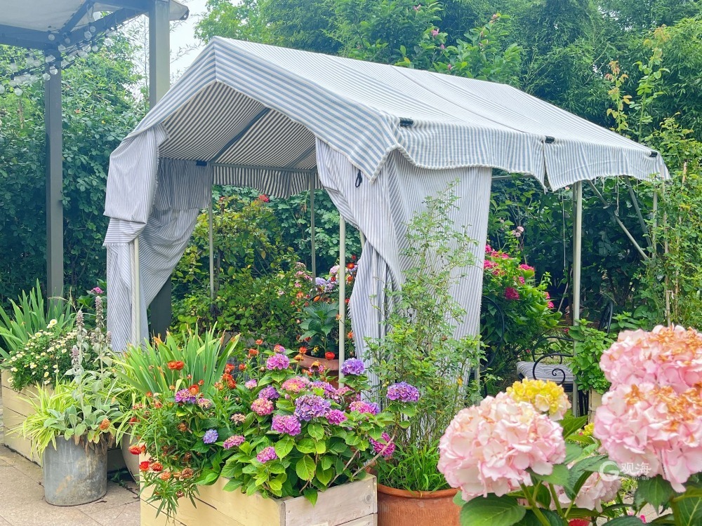 镜像微观|浪漫满屋！花园咖啡厅“绽放”美丽产业