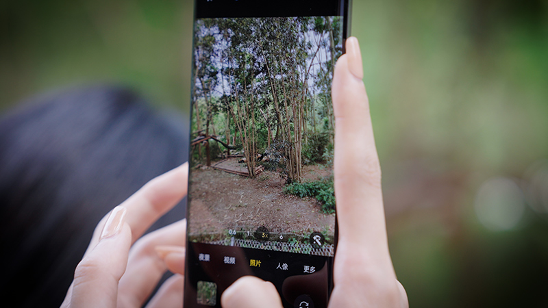 夏季成都短期旅游推荐,重庆和成都夏季旅游哪个更适合