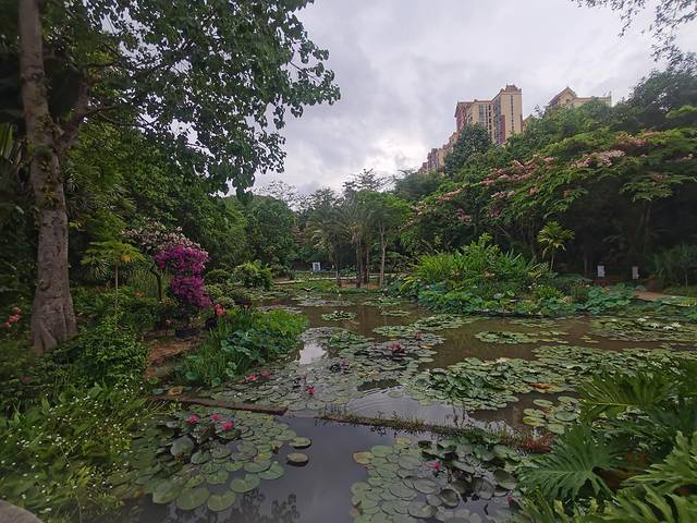 从西双版纳到老挝琅勃拉邦