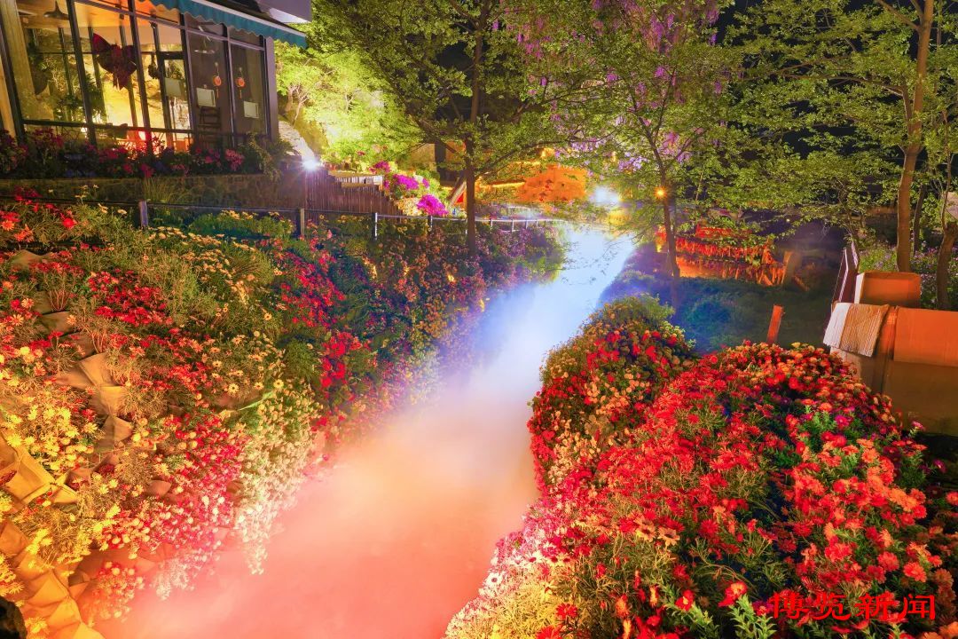 节气里的淄博︱小暑:荷花香万物长时有微凉不是风