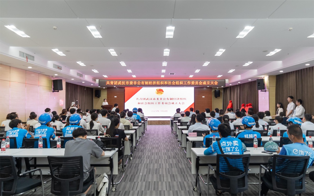 非公经济组织共青团,非公有制经济团工委