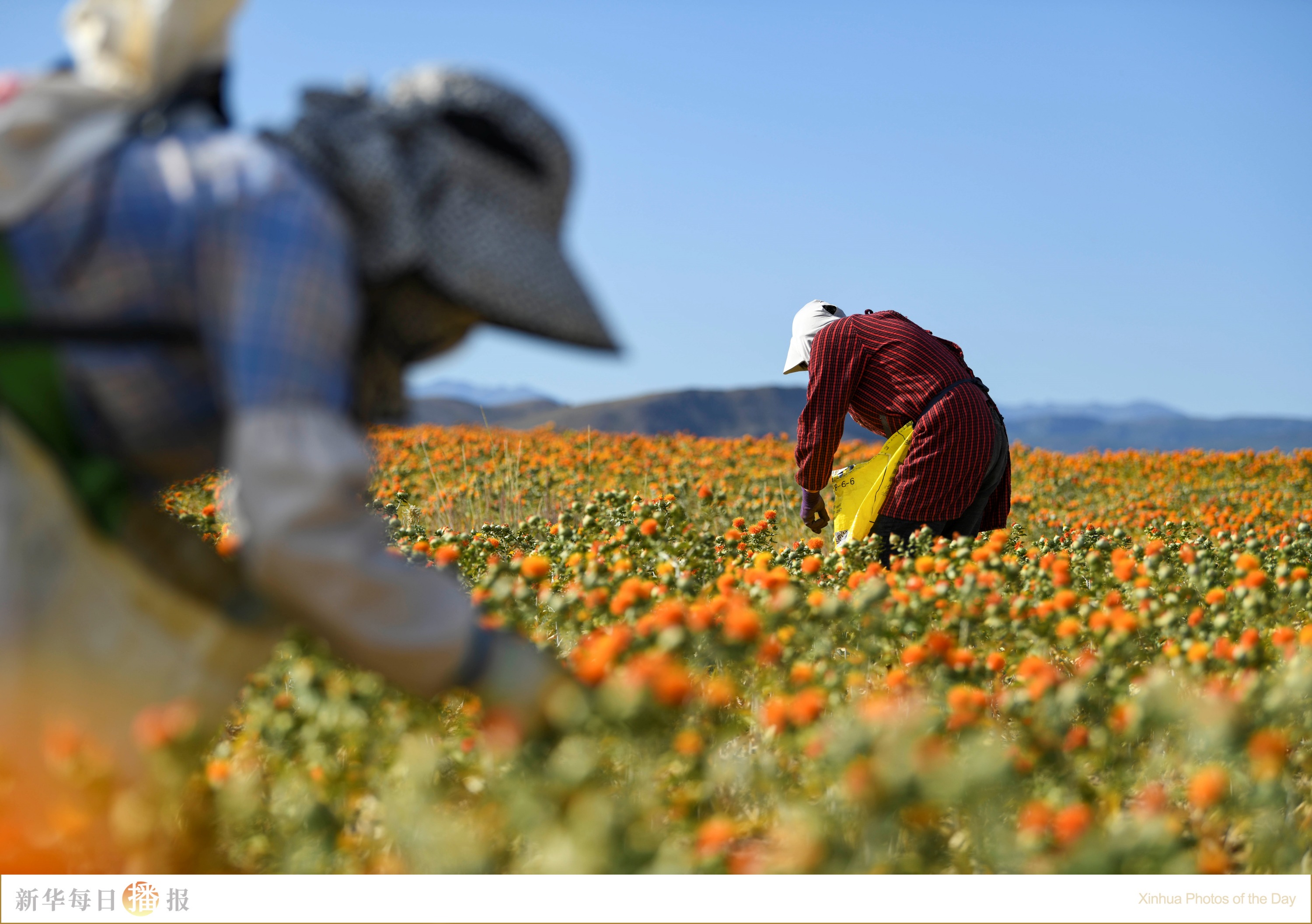 新华每日播报｜7月7日