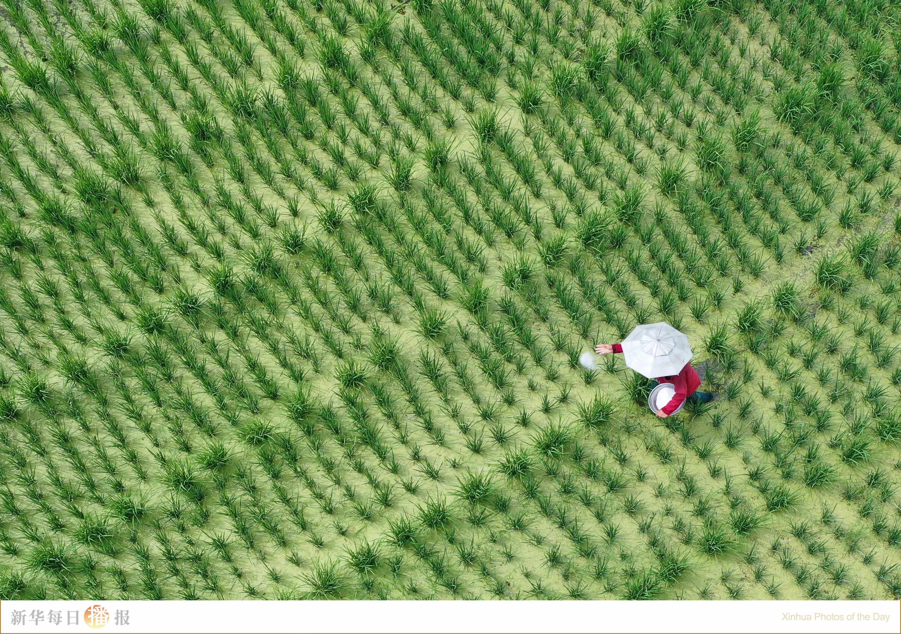 新华每日播报｜7月7日