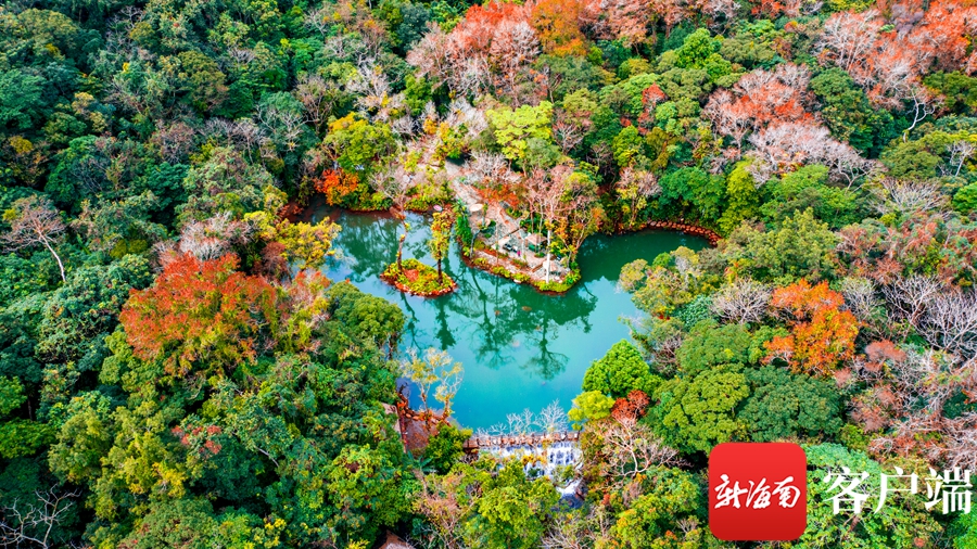 海南暑假旅游攻略自由行,海南研学亲子游