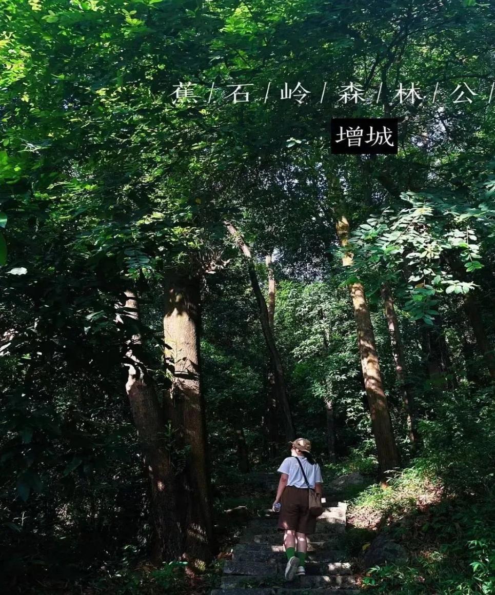 增城好去处一日游,暑假旅游推荐增城