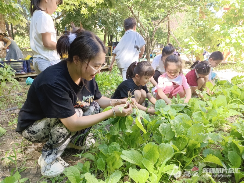 石河子实验幼儿园暑假托管班,石河子幼儿园全托