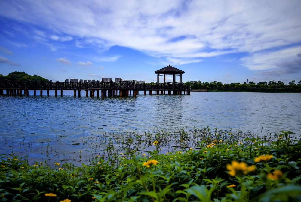 不止“村BA”！东莞10条好看好逛的线路，本地人也爱去