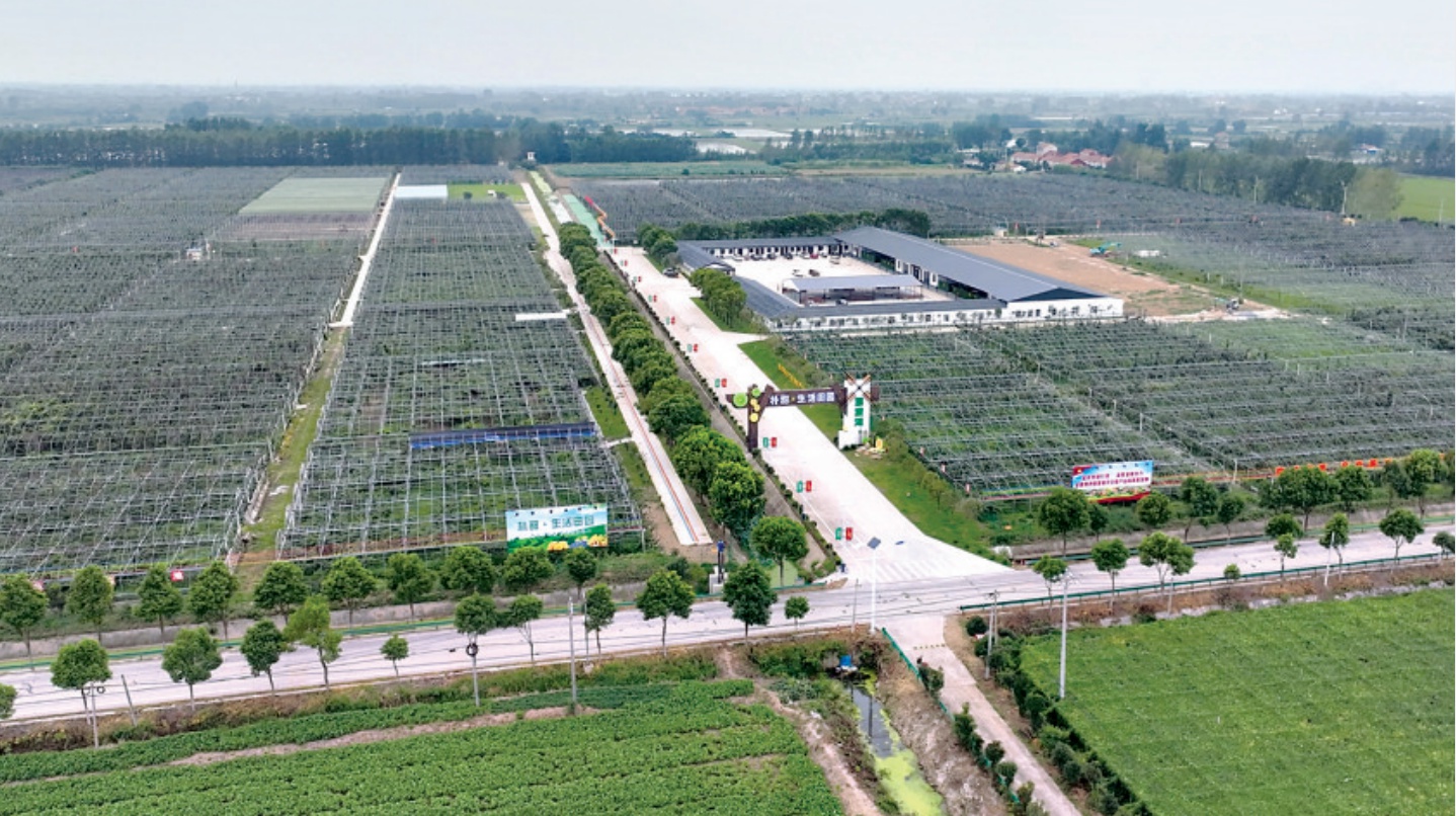 武汉未来新洲建设,新洲阳逻发展规划最新消息