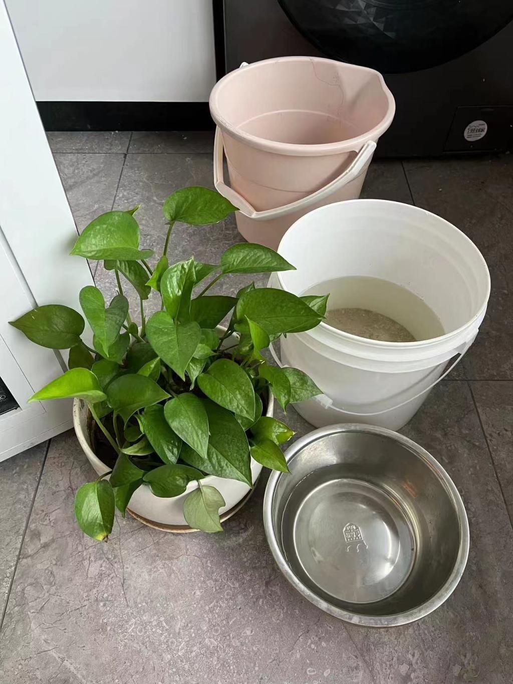 房屋漏雨求助,房屋漏雨找谁修最好